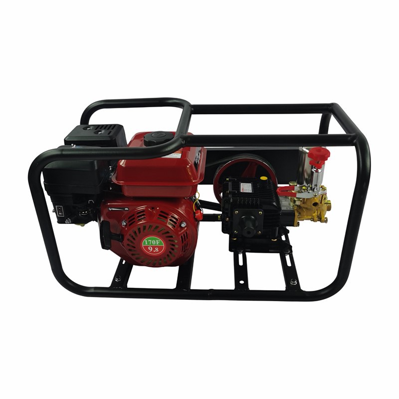 product-800-800